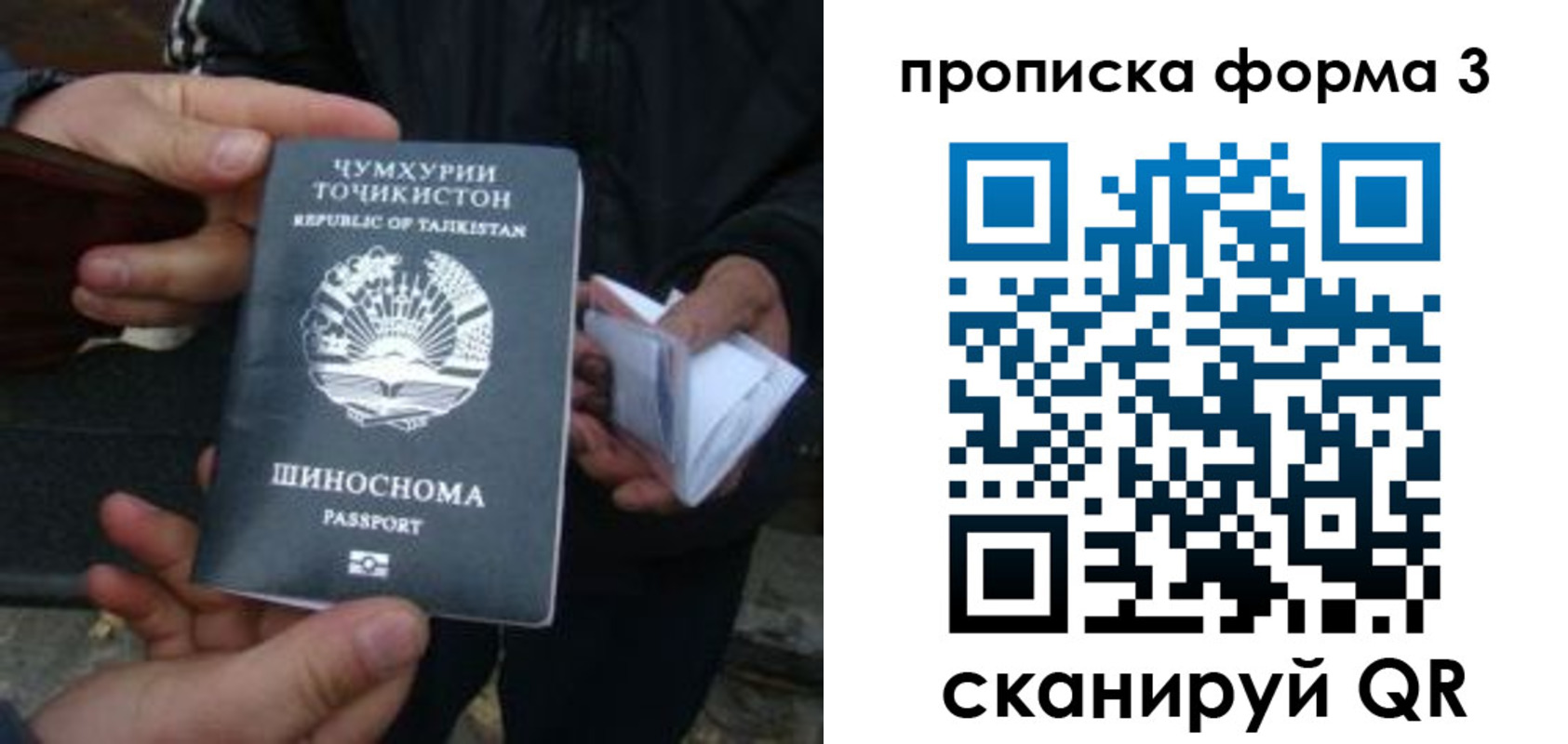 прописка 2025 в Николаевске